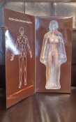 Female Body Seamless Body in Suntan Large Bust Size 1/6 Scale Figure by Jiaou Doll