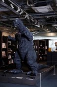 Godzilla Eiji Tsuburaya Museum Special Video - Dream Challenge: Godzilla Appears in Sukagawa Book