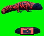 Giant Gila Monster Model Kit