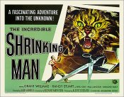 Incredible Shrinking Man 1957 Style "B" Half Sheet Poster Reproduction