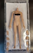 Female Body Seamless Body in Suntan Large Bust Size 1/6 Scale Figure by Jiaou Doll