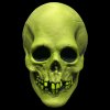 Mabry Monsters Voodoo Skull Glow-In-The-Dark Vinyl Mask