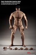 Male Body Super Flexible Seamless Muscle Body by TBLeague