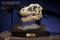 T-Rex Head Skull Scaled Replica Statue By Star Ace