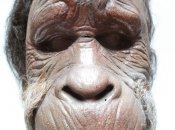 Harry And The Hendersons Rick Baker Latex Mask