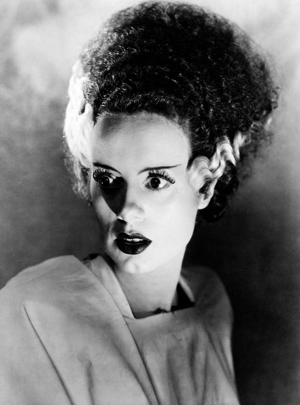 Frankenstein: The First Two Hundred Years Hardcover Book - Click Image to Close