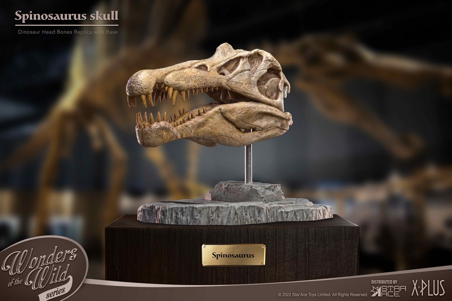 Spinosaurus Head Skull Scaled Replica Statue by Star Ace - Click Image to Close