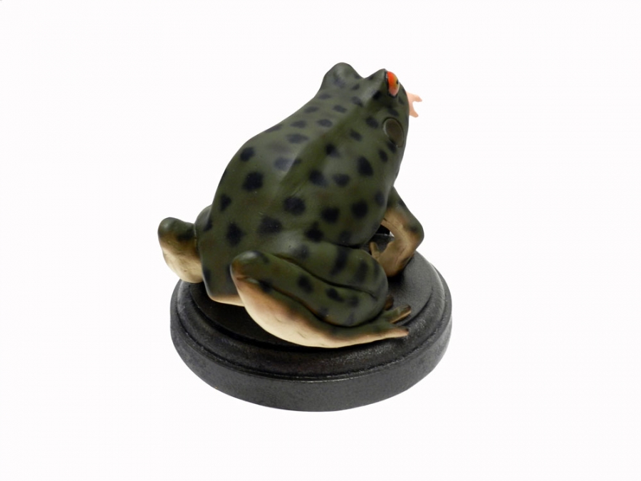 Frogs 1972 B-Movie Model Kit - Click Image to Close