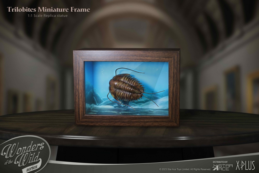 Trilobites Wonders of the Wild Series Miniature Frame w/ 1:1 Scale Replica (Normal Ver.) - Click Image to Close