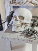 Customizing Monster Model Kit Bama Tribute #15 by Jeff Yagher