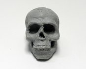 Human Skull 1/4 Scale 2.5 Inch Model Kit for Customizing