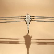 Dune Ornithopter 10.5 Inch Die-Cast Replica