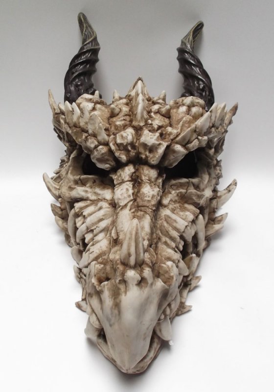 Dragon Skull 30" Long Large Size Hand Painted Resin Statue - Click Image to Close