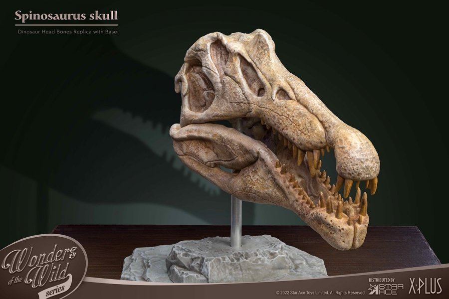 Spinosaurus Head Skull Scaled Replica Statue by Star Ace - Click Image to Close