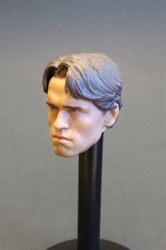 Arnold Schwarzenegger 1/6 Scale Head Sculpt (Young Version) - Click Image to Close