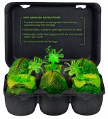 Alien Glow-in-the-Dark Egg 6-Pack Set in Collectible Carton