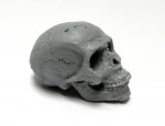 Human Skull 1/4 Scale 2.5 Inch Model Kit for Customizing