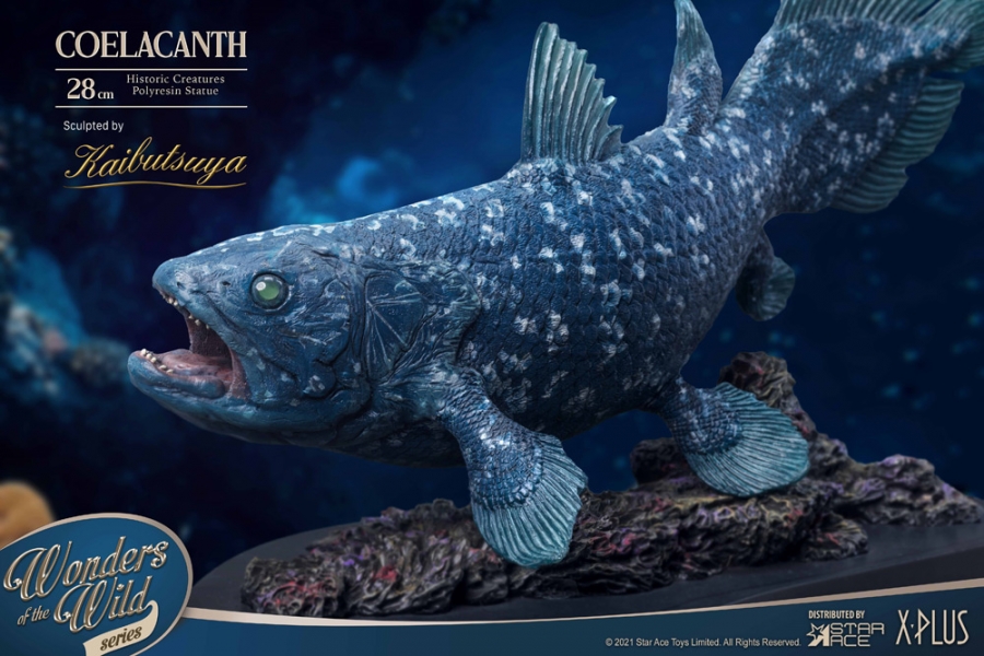 Coelacanth Wonders of the Wild Series 12" Polyresin Statue - Click Image to Close
