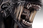 Alien Romulus Scorched Xenomorph Lifesize Bust