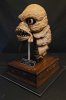 Creature Artifact Skull 1/2 Scale Devonian Museum Display Model Kit
