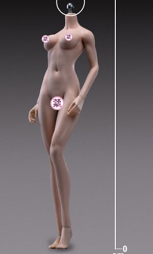 Female Body 1/6 Scale Super-Flexible Seamless 270mm Tall Tan/Medium Breast by Phicen [PL-MB2018-S27B]