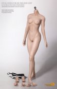 Female Body Seamless Super Flexible 1/6 Scale Body in Pale Medium Breast by Phicen [PL-MB2016-S16A]