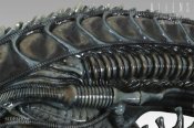 Aliens Life Size Alien Warrior Bust 1/1 Scale by Sideshow Stan Winston