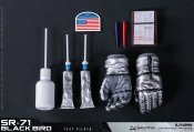 SR-71 Blackbird Test Pilot 1/6 Scale Deluxe Figure by Damtoys