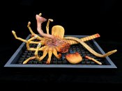 Alien Damaged Facehugger Wall Hanger 1/1 Scale Replica Art Piece