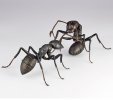 Revoltech Black Carpenter Ants Set Of 2 By Kaiyodo