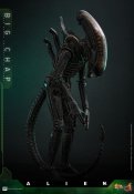 Alien 1979 Big Chap Xenomorph 1/6 Scale Figure by Hot Toys