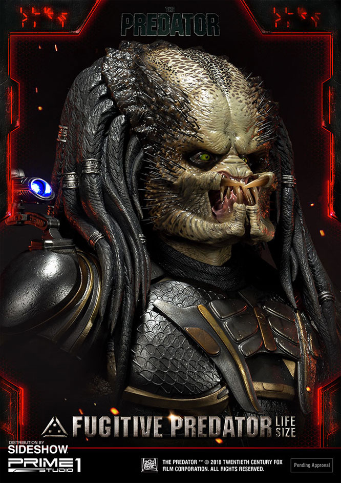 prime 1 studio jungle predator