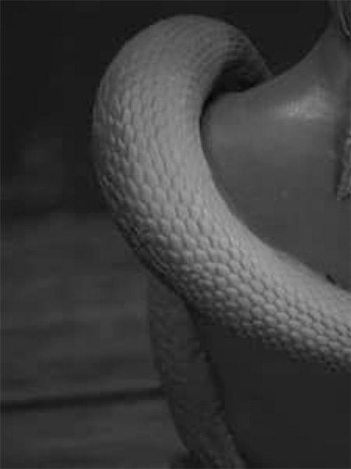 Blade Runner Zhora 1/4 Scale Bust Model Kit by Jeff Yagher - Click Image to Close