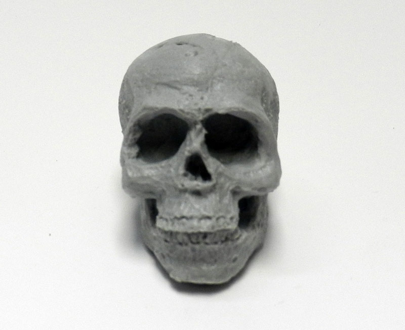 Human Skull 1/4 Scale 2.5 Inch Model Kit for Customizing - Click Image to Close