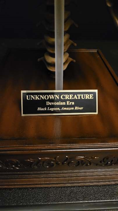 Creature Artifact Skull 1/2 Scale Devonian Museum Display Model Kit - Click Image to Close