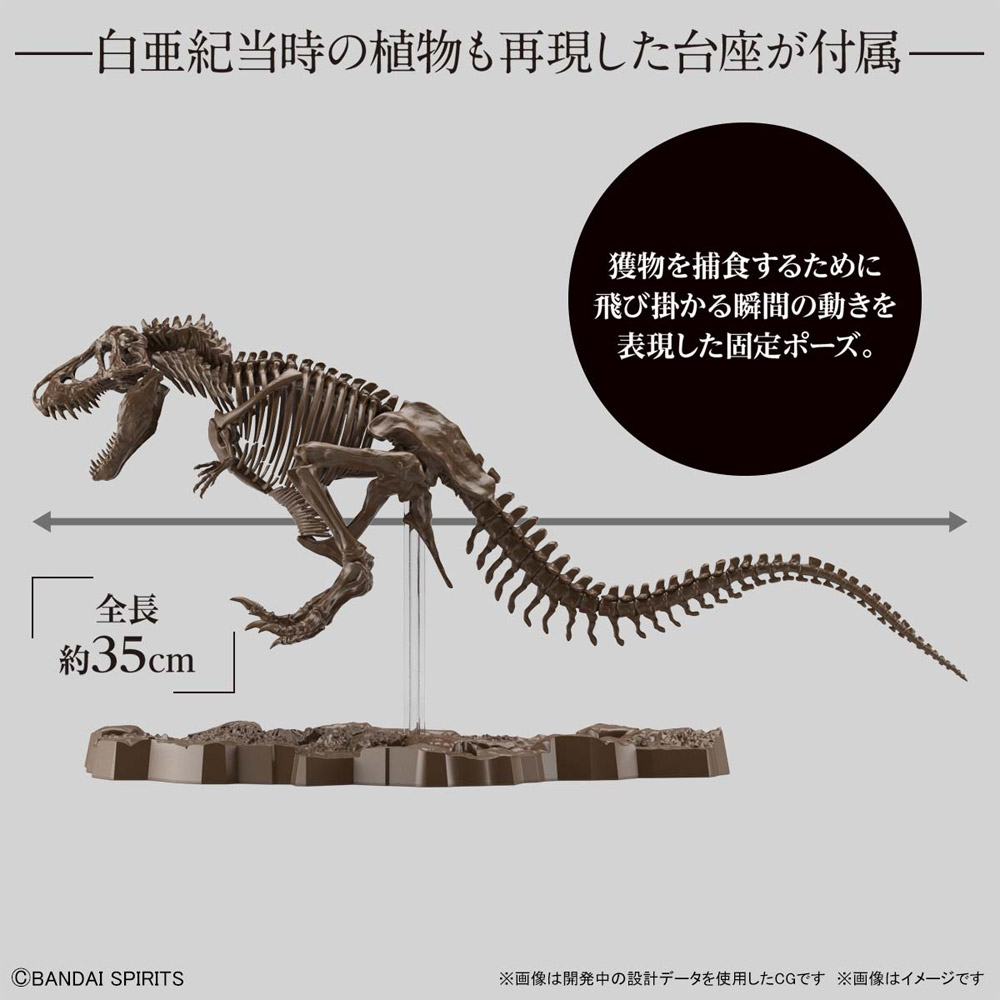 tyrannosaurus rex skeleton model
