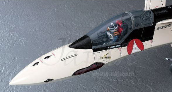 Macross Plus YF-19 Valkyrie Fighter Isamu 1/48 Model Kit by Hasegawa - Click Image to Close