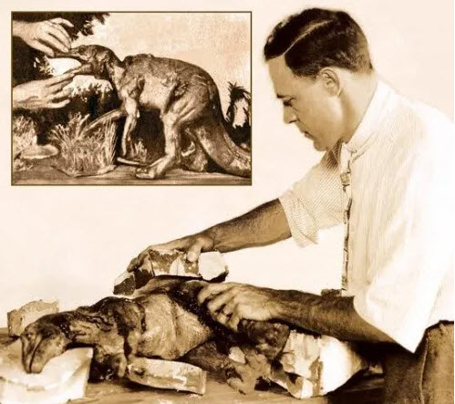 Major Herbert M. Dawley, An Artist's Life: Dinosaurs, Movies, Show-Biz, & Pierce-Arrow Automobiles Softcover Book - Click Image to Close