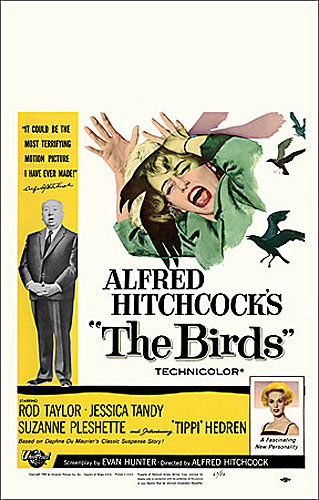 Birds, The 1963 Window Card Poster Reproduction Alfred Hitchcock - Click Image to Close