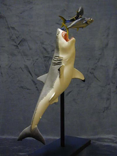 Jaws Great White Shark With Tuna Model Kit - Click Image to Close