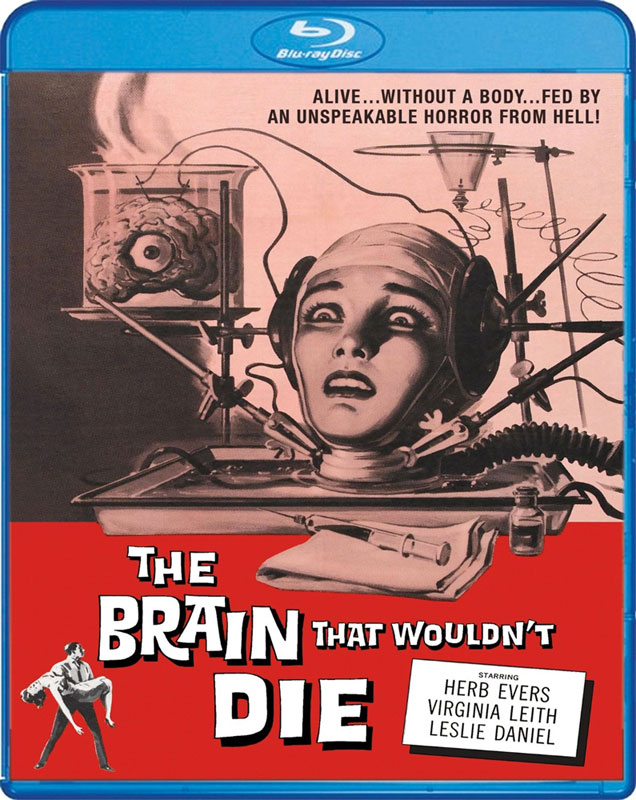 Brain That Wouldnt Die 14inx36in Insert Movie Poster Replica