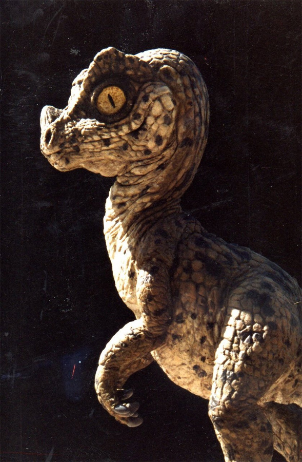 learn more about dinosaurs