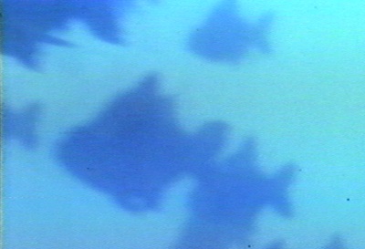Piranha 1978 (Roger Corman Cult Classics) Blu-Ray - Click Image to Close