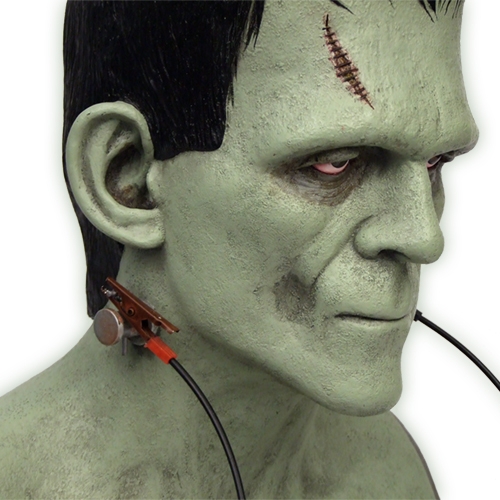 Frankenstein VFX Head 1:1 Scale-Sound & Lights - Click Image to Close