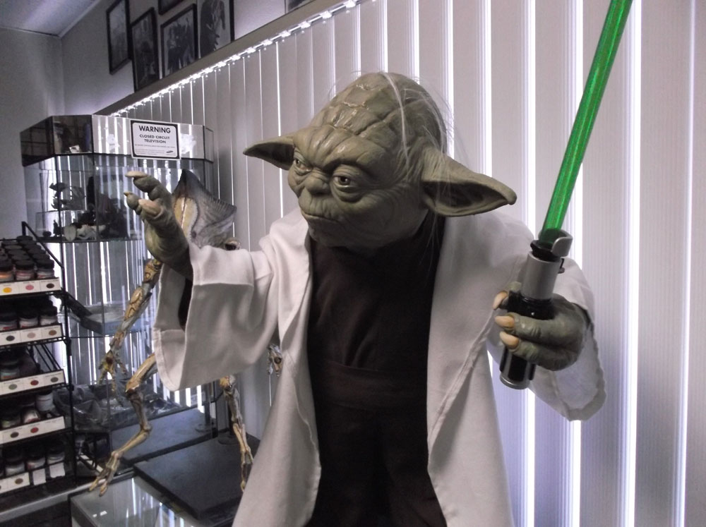 Star Wars Yoda Life Size Prop Replica Display Episode II Yoda Supreme Edition Prop Display Star