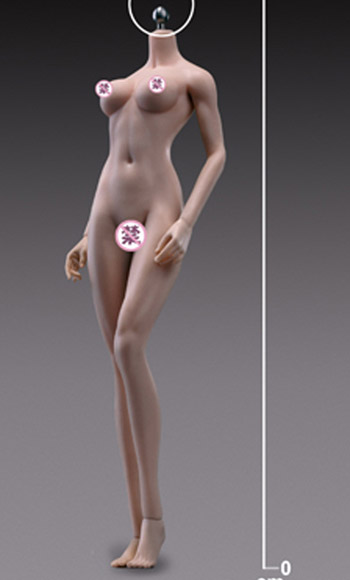 Female Body 1/6 Scale Super-Flexible Seamless 270mm Tall Tan/Medium Breast by Phicen [PL-MB2018-S27B] - Click Image to Close