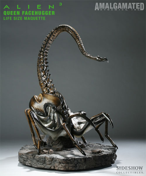 Alien 3 Queen Facehugger Life-Size Prop Replica by Sideshow - Click Image to Close