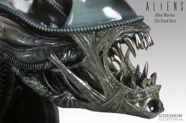 Aliens Life Size Alien Warrior Bust 1/1 Scale by Sideshow Stan Winston - Click Image to Close