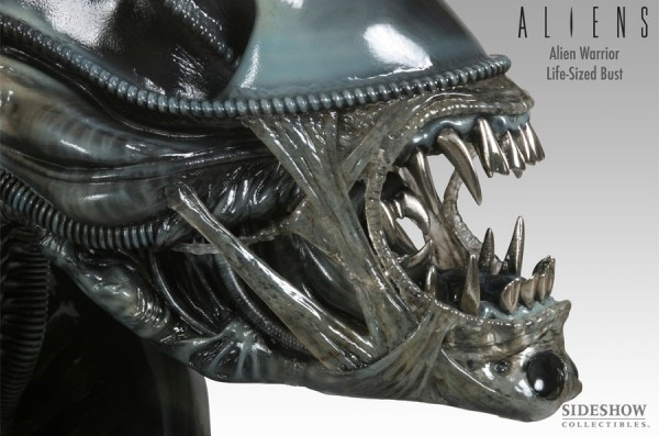 Aliens Life Size Alien Warrior Bust 1/1 Scale by Sideshow