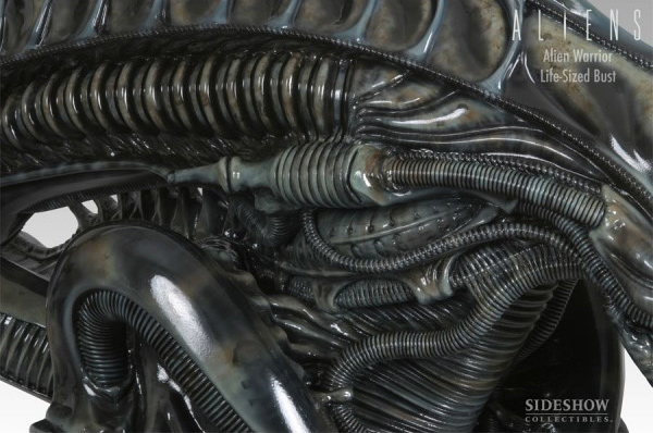 Aliens Life Size Alien Warrior Bust 1/1 Scale by Sideshow Stan Winston - Click Image to Close